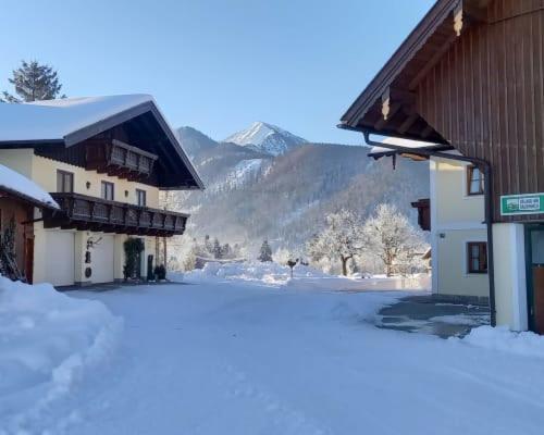 Apartamento Unterwoehrlehen Faistenau Exterior foto