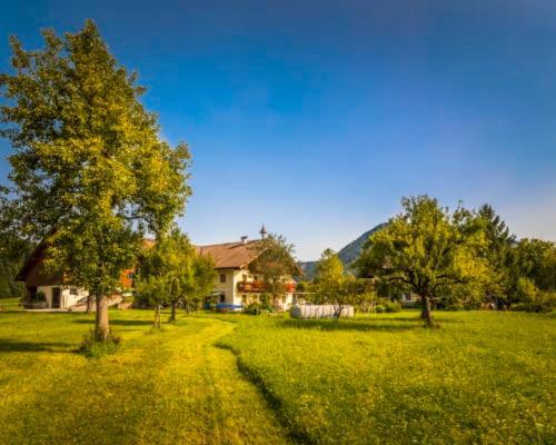 Apartamento Unterwoehrlehen Faistenau Exterior foto